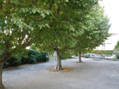 Parc ombragé